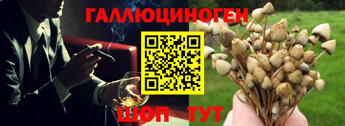 Псилоцибиновые грибы Psilocybine cubensis  Галлюциногенные грибы мицелий  Вход с VPN  Кизилюрт 