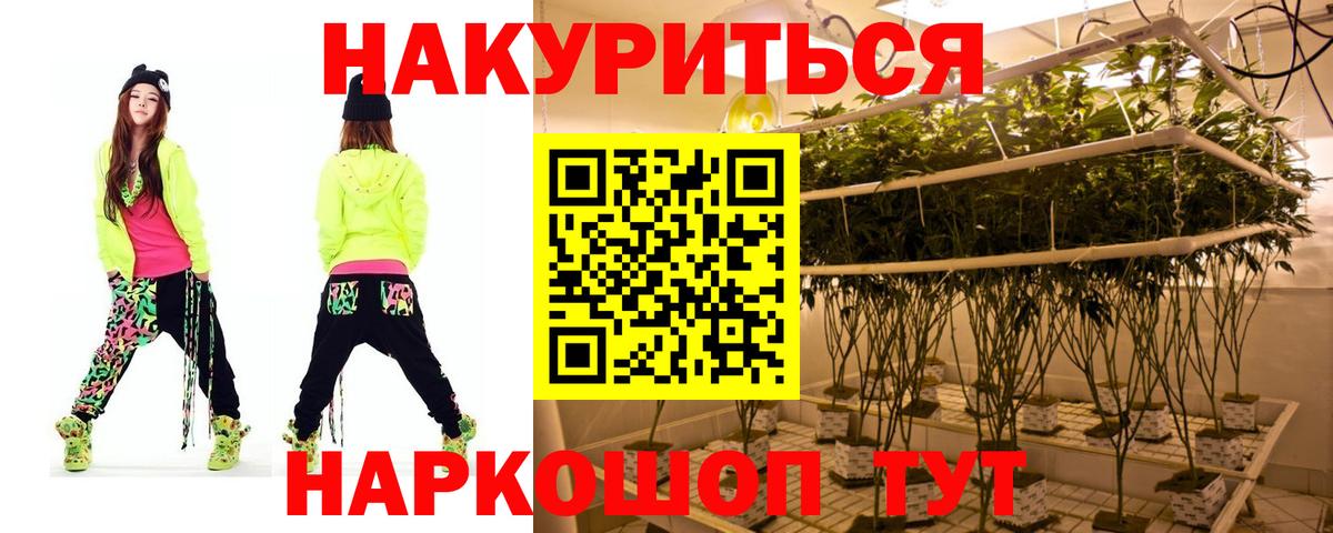 Каннабис VHQ Кизилюрт